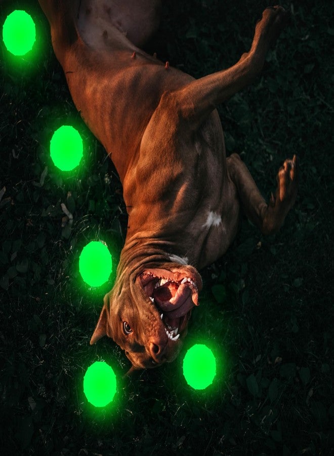 Liliful 5 Pcs Glow in The Dark Ball Dog Toy 2.5 Inch Glowing Fetch Ball Rubber Bouncy Dog Toy Balls with Net Bag for Dogs 20-60 Lbs - Image 3
